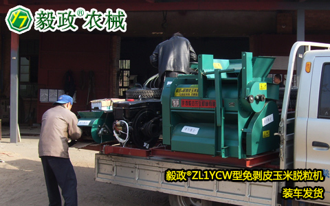 某國(guó)外客戶定制的毅政牌ZL1YCW型免剝皮玉米脫粒機(jī)發(fā)貨裝車(chē)